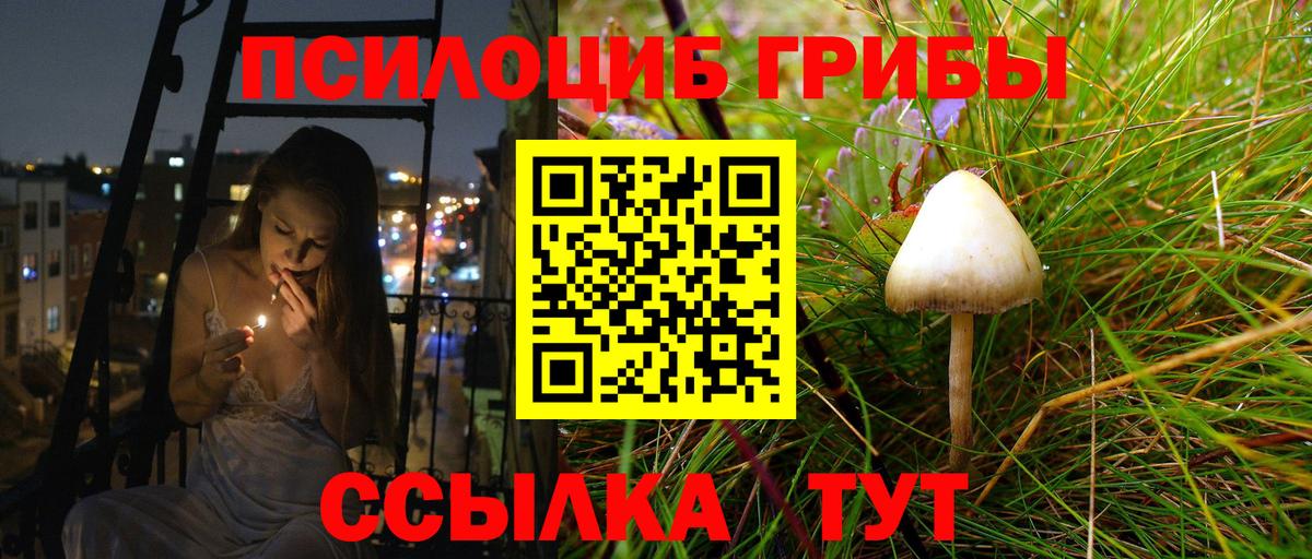 Псилоцибиновые грибы мицелий Сосновоборск